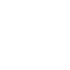 icon FD2